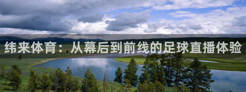 纬来体育：从幕后到前线的足球直播体验