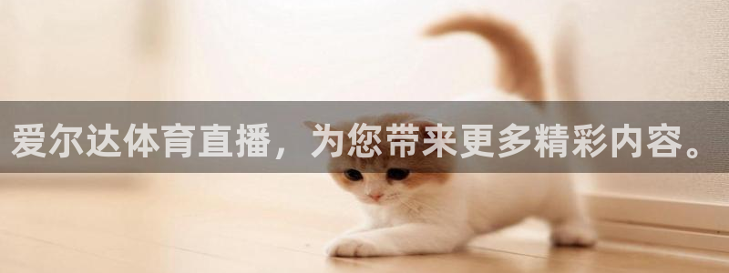 爱尔达体育直播，为您带来更多精彩内容。