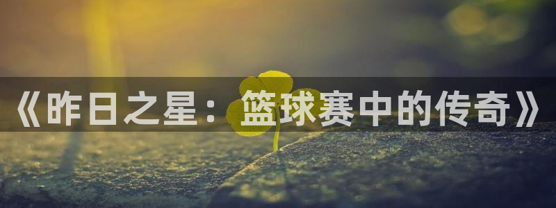 《昨日之星：篮球赛中的传奇》