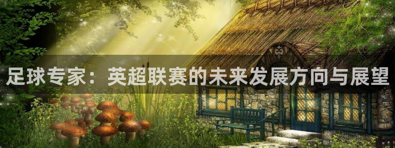 足球专家：英超联赛的未来发展方向与展望