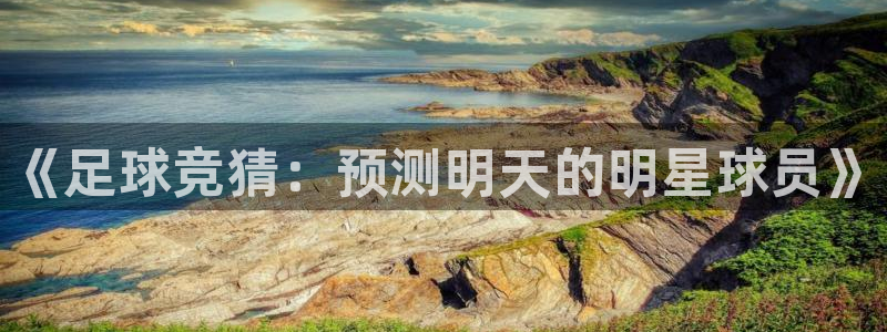 《足球竞猜：预测明天的明星球员》