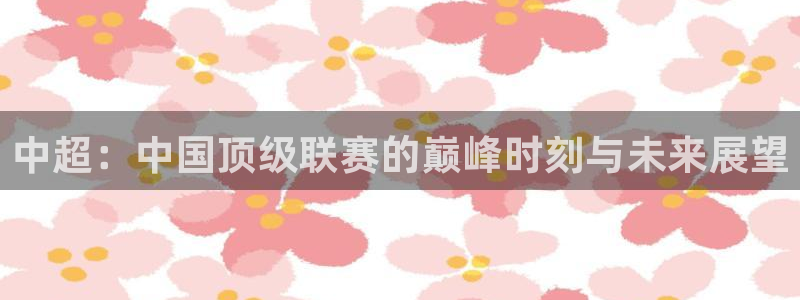 中超：中国顶级联赛的巅峰时刻与未来展望