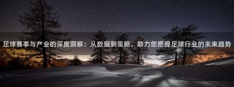 足球赛事与产业的深度洞察：从数据到策略，助力您把握足球行业的未来趋势