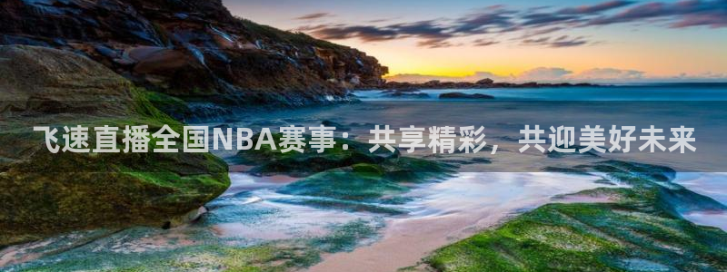 飞速直播全国NBA赛事：共享精彩，共迎美好未来