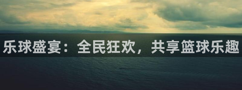 乐球盛宴：全民狂欢，共享篮球乐趣
