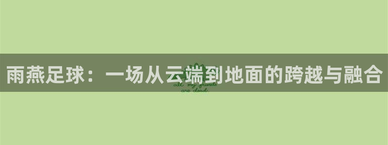 雨燕足球：一场从云端到地面的跨越与融合