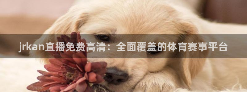 jrkan直播免费高清：全面覆盖的体育赛事平台