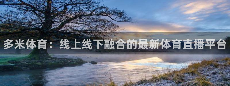 多米体育：线上线下融合的最新体育直播平台