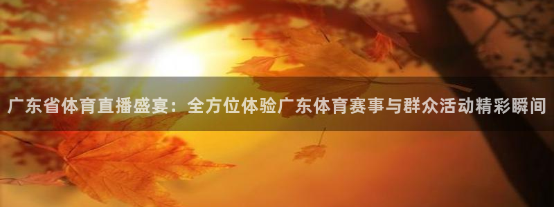 广东省体育直播盛宴：全方位体验广东体育赛事与群众活动精彩瞬间