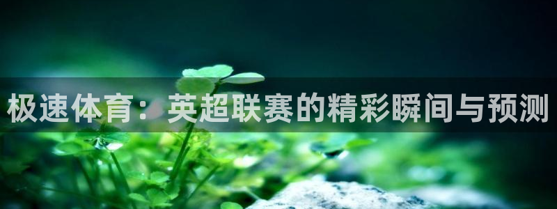极速体育：英超联赛的精彩瞬间与预测