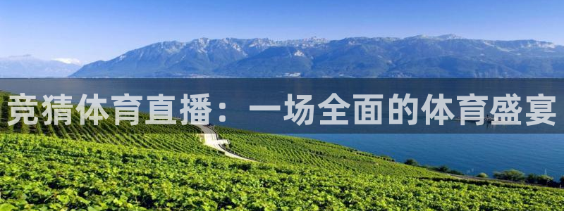 竞猜体育直播：一场全面的体育盛宴