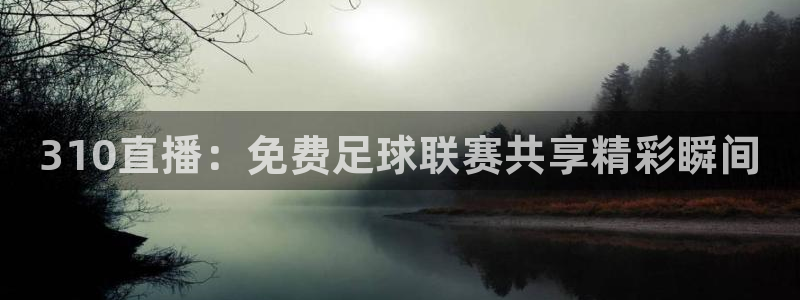 310直播：免费足球联赛共享精彩瞬间