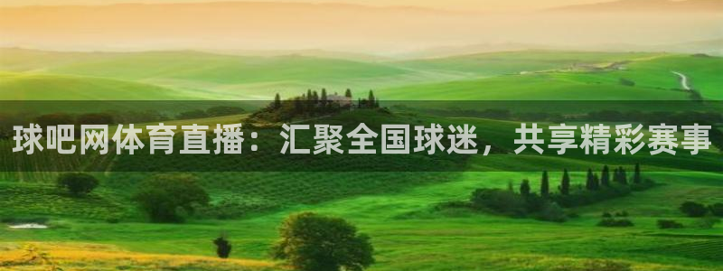 球吧网体育直播：汇聚全国球迷，共享精彩赛事