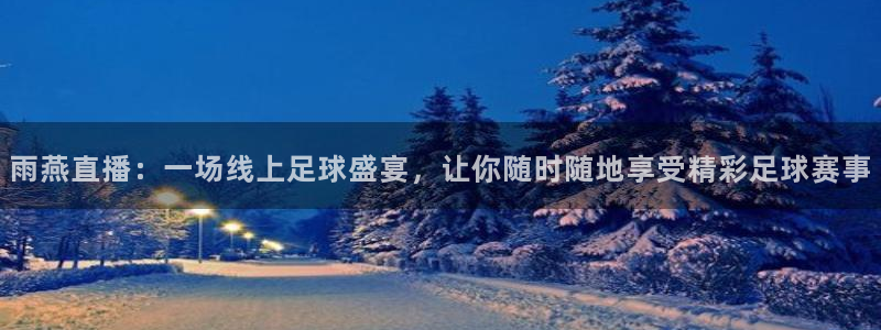 雨燕直播：一场线上足球盛宴，让你随时随地享受精彩足球赛事