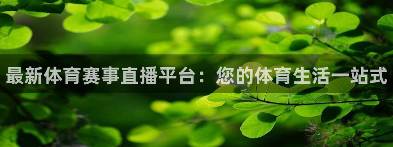 最新体育赛事直播平台：您的体育生活一站式
