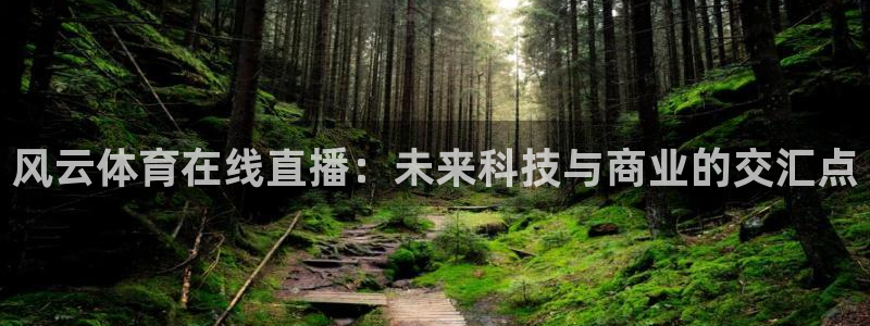 风云体育在线直播：未来科技与商业的交汇点
