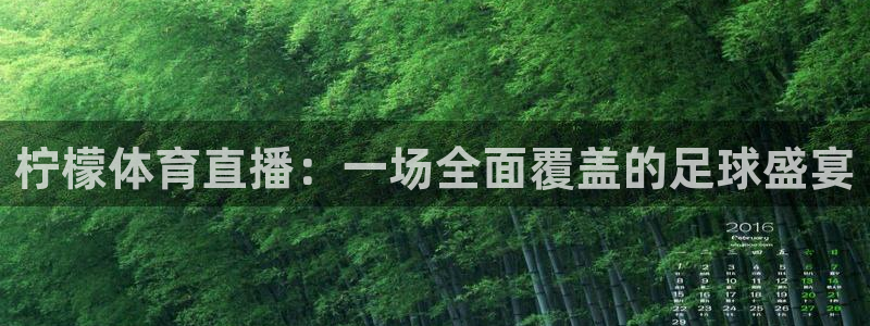 柠檬体育直播：一场全面覆盖的足球盛宴