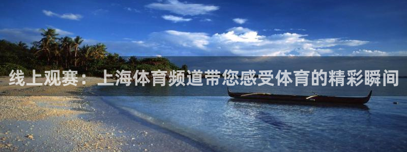 线上观赛：上海体育频道带您感受体育的精彩瞬间