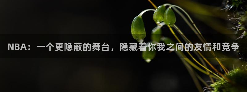NBA：一个更隐蔽的舞台，隐藏着你我之间的友情和竞争