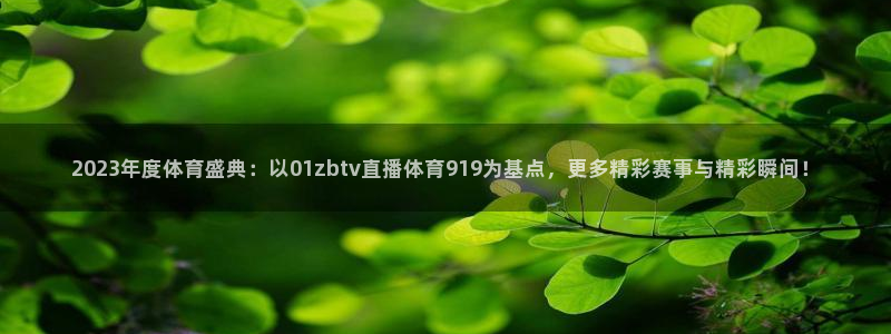 2023年度体育盛典：以01zbtv直播体育919为基点，更多精彩赛事与精彩瞬间！