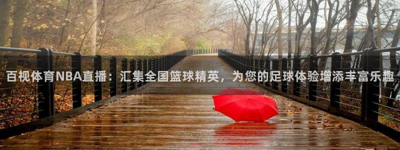 百视体育NBA直播：汇集全国篮球精英，为您的足球体验增添丰富乐趣