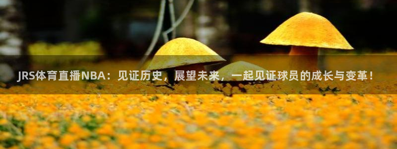 JRS体育直播NBA：见证历史，展望未来，一起见证球员的成长与变革！