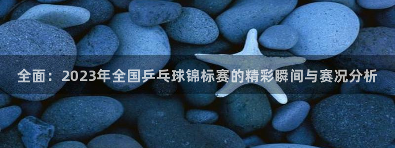 全面：2023年全国乒乓球锦标赛的精彩瞬间与赛况分析