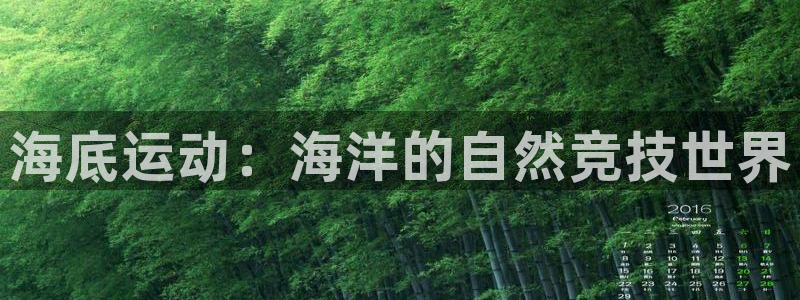 海底运动：海洋的自然竞技世界