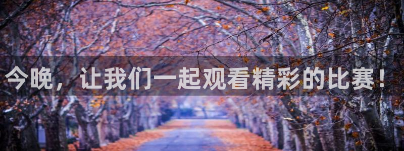 今晚，让我们一起观看精彩的比赛！