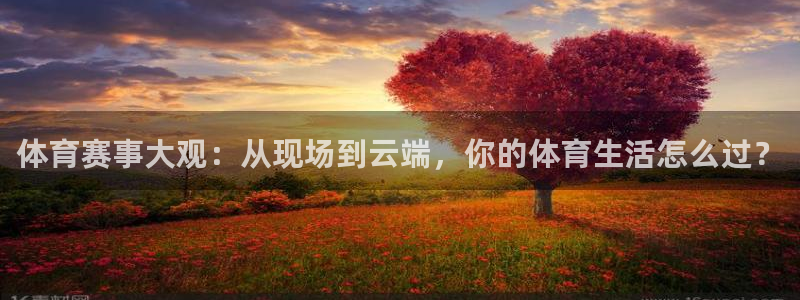 体育赛事大观：从现场到云端，你的体育生活怎么过？