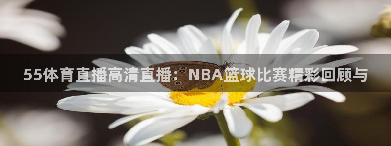 55体育直播高清直播：NBA篮球比赛精彩回顾与