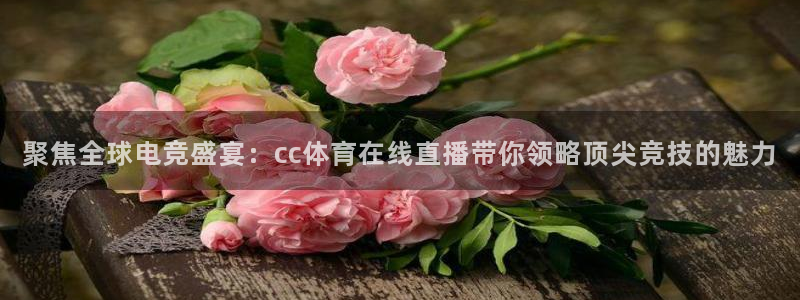 聚焦全球电竞盛宴：cc体育在线直播带你领略顶尖竞技的魅力