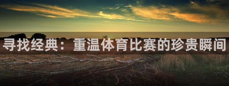 寻找经典：重温体育比赛的珍贵瞬间