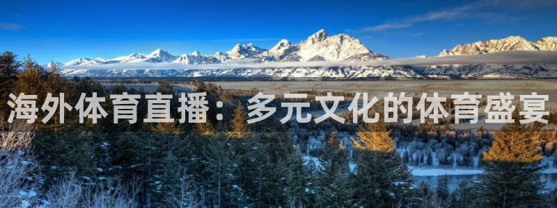 海外体育直播：多元文化的体育盛宴
