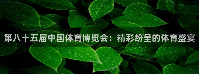 第八十五届中国体育博览会：精彩纷呈的体育盛宴