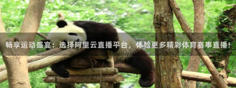 畅享运动盛宴：选择阿里云直播平台，体验更多精彩体育赛事直播!