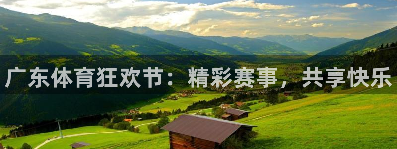 广东体育狂欢节：精彩赛事，共享快乐