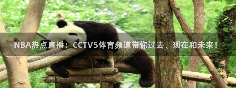 NBA热点直播：CCTV5体育频道带你过去、现在和未来！