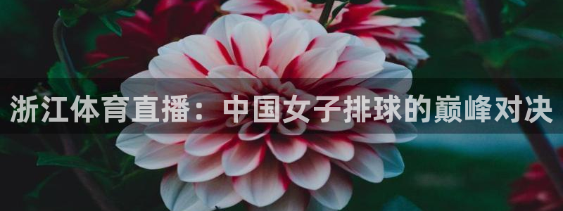 浙江体育直播：中国女子排球的巅峰对决