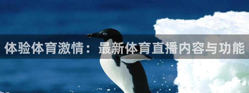 体验体育激情：最新体育直播内容与功能