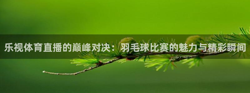 乐视体育直播的巅峰对决：羽毛球比赛的魅力与精彩瞬间