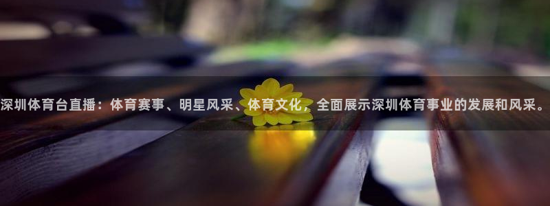 深圳体育台直播：体育赛事、明星风采、体育文化，全面展示深圳体育事业的发展和风采。