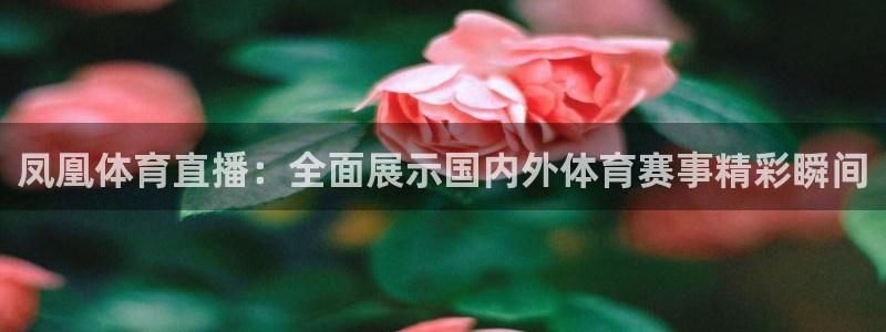 凤凰体育直播：全面展示国内外体育赛事精彩瞬间