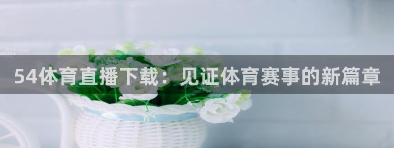 54体育直播下载：见证体育赛事的新篇章