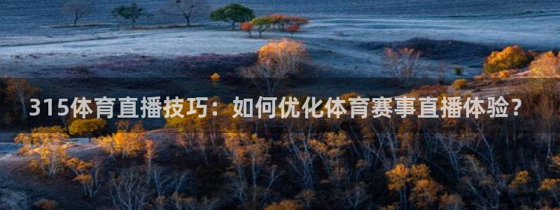 315体育直播技巧：如何优化体育赛事直播体验？