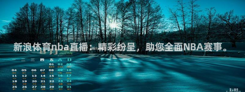 新浪体育nba直播：精彩纷呈，助您全面NBA赛事。