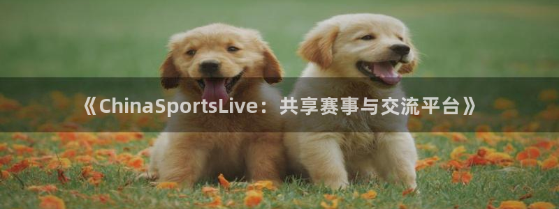《ChinaSportsLive：共享赛事与交流平台》