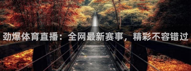 劲爆体育直播：全网最新赛事，精彩不容错过