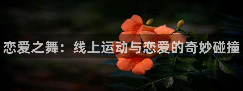 恋爱之舞：线上运动与恋爱的奇妙碰撞