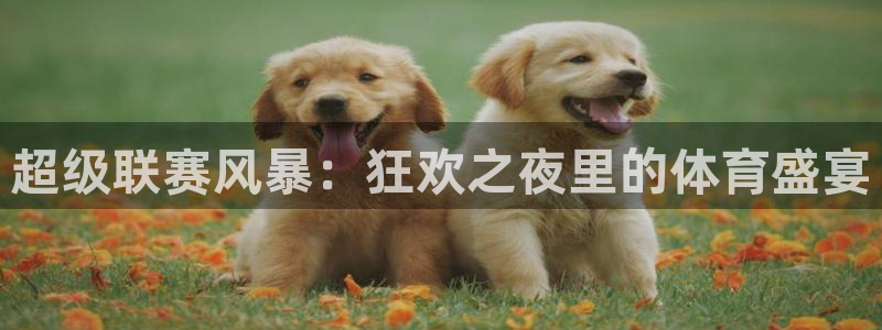 超级联赛风暴：狂欢之夜里的体育盛宴